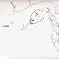 0049.nacimiento submarino tif